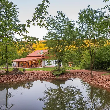 Bányahegyi Erdei Nyugalom és Wellness Bed & Breakfast